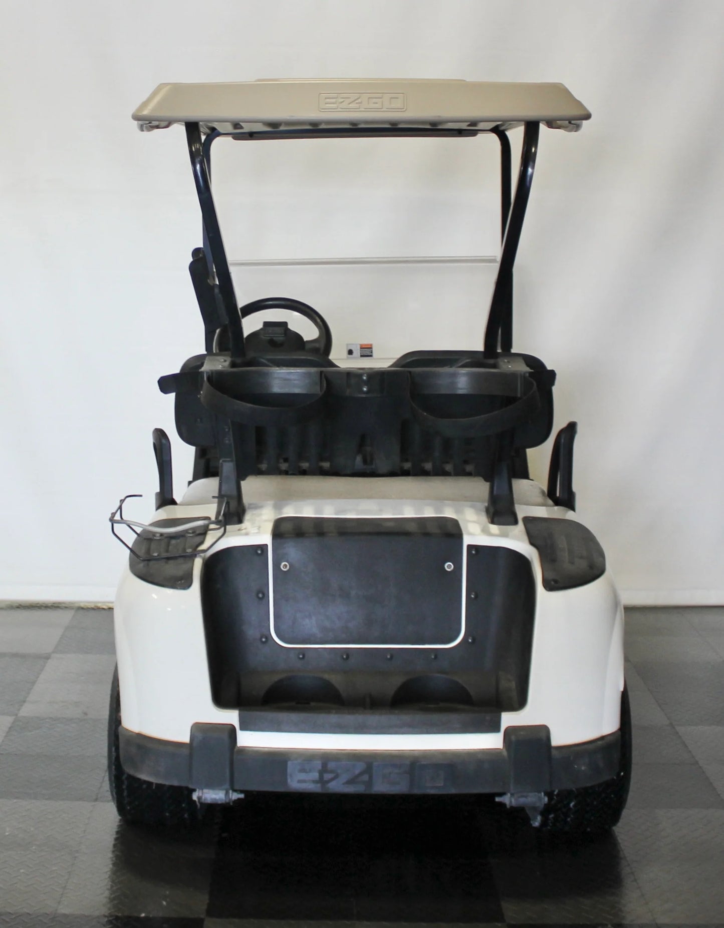 2009 EZGO RXV Electric