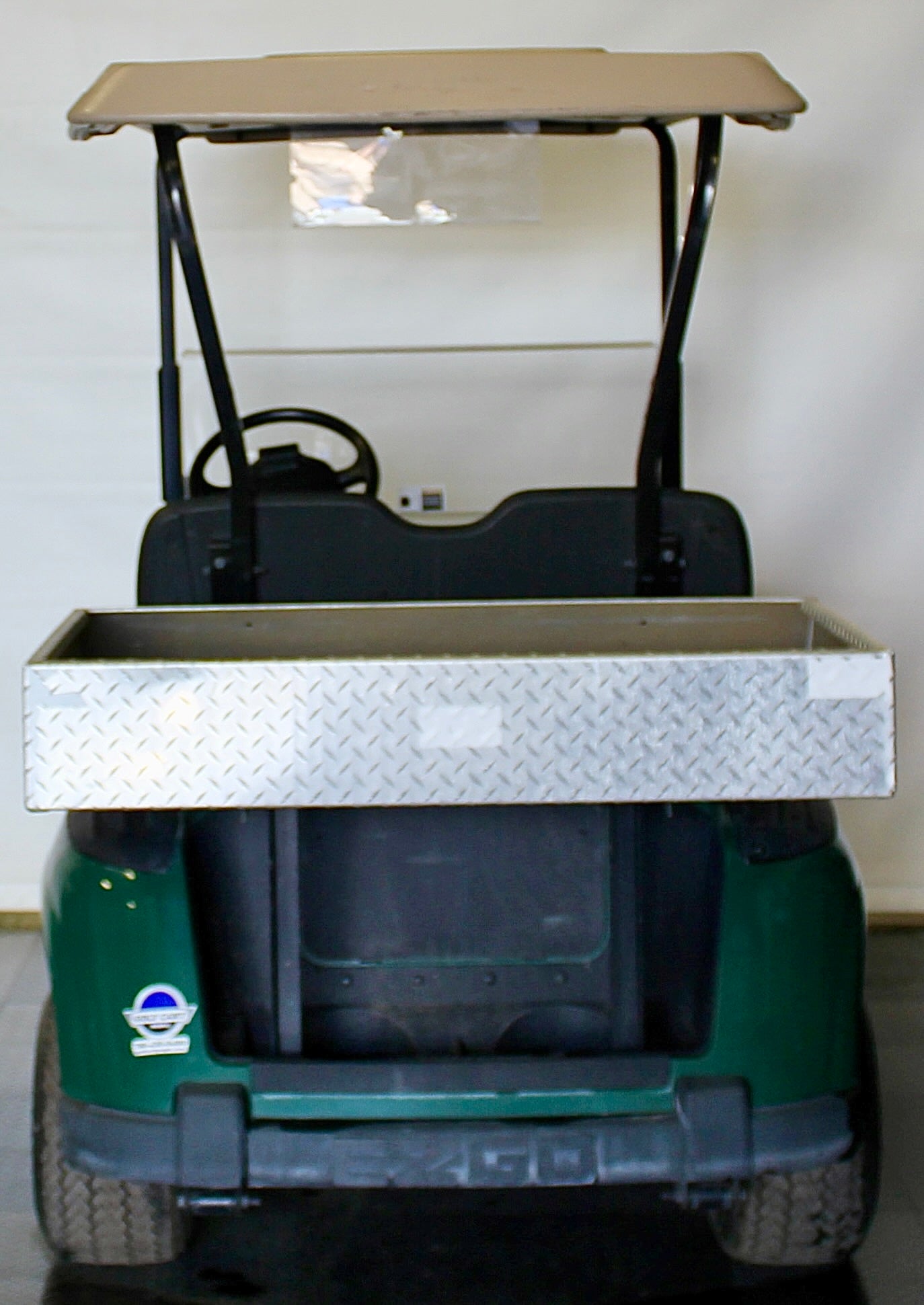 2012 EZGO RXV Electric