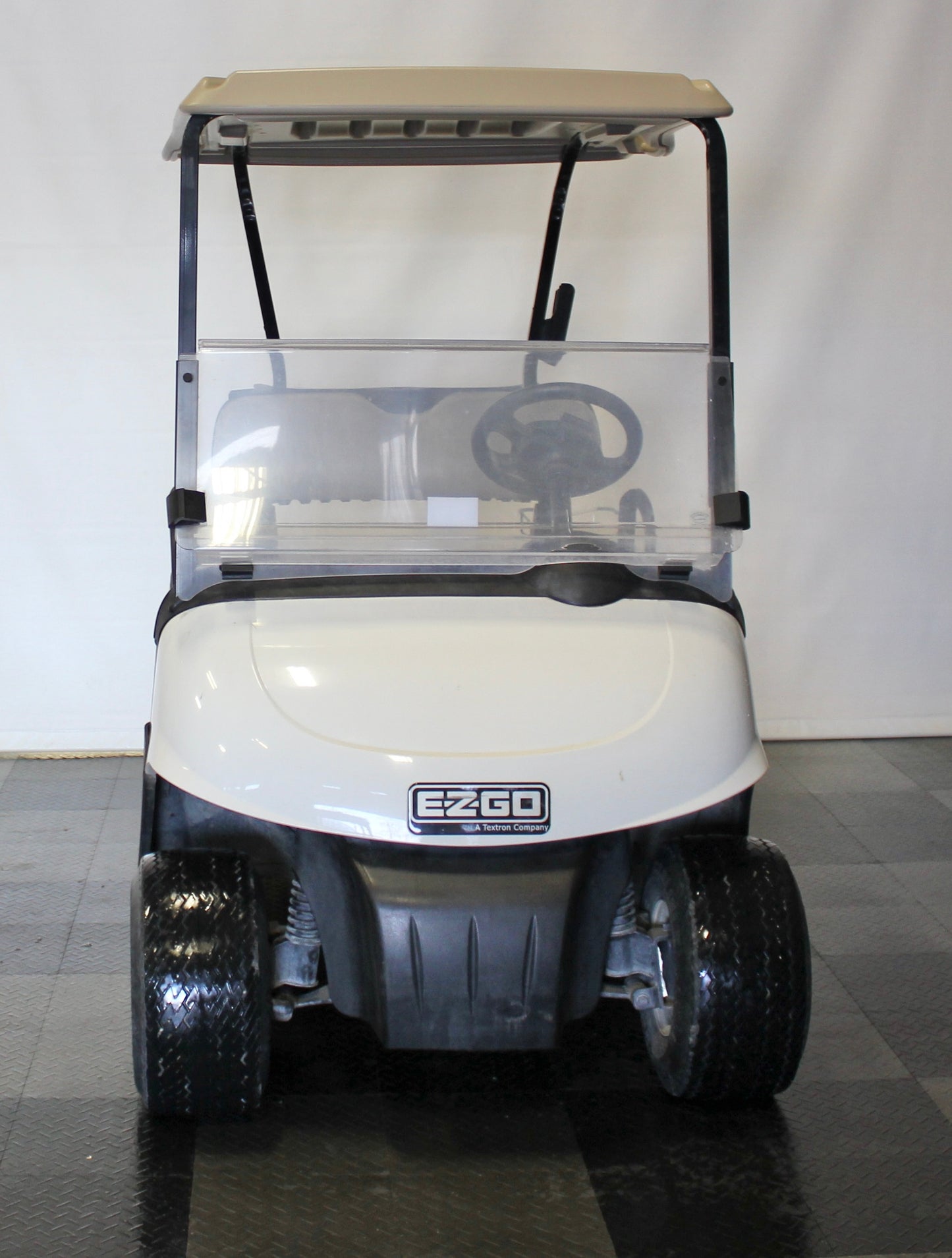 2009 EZGO RXV Electric