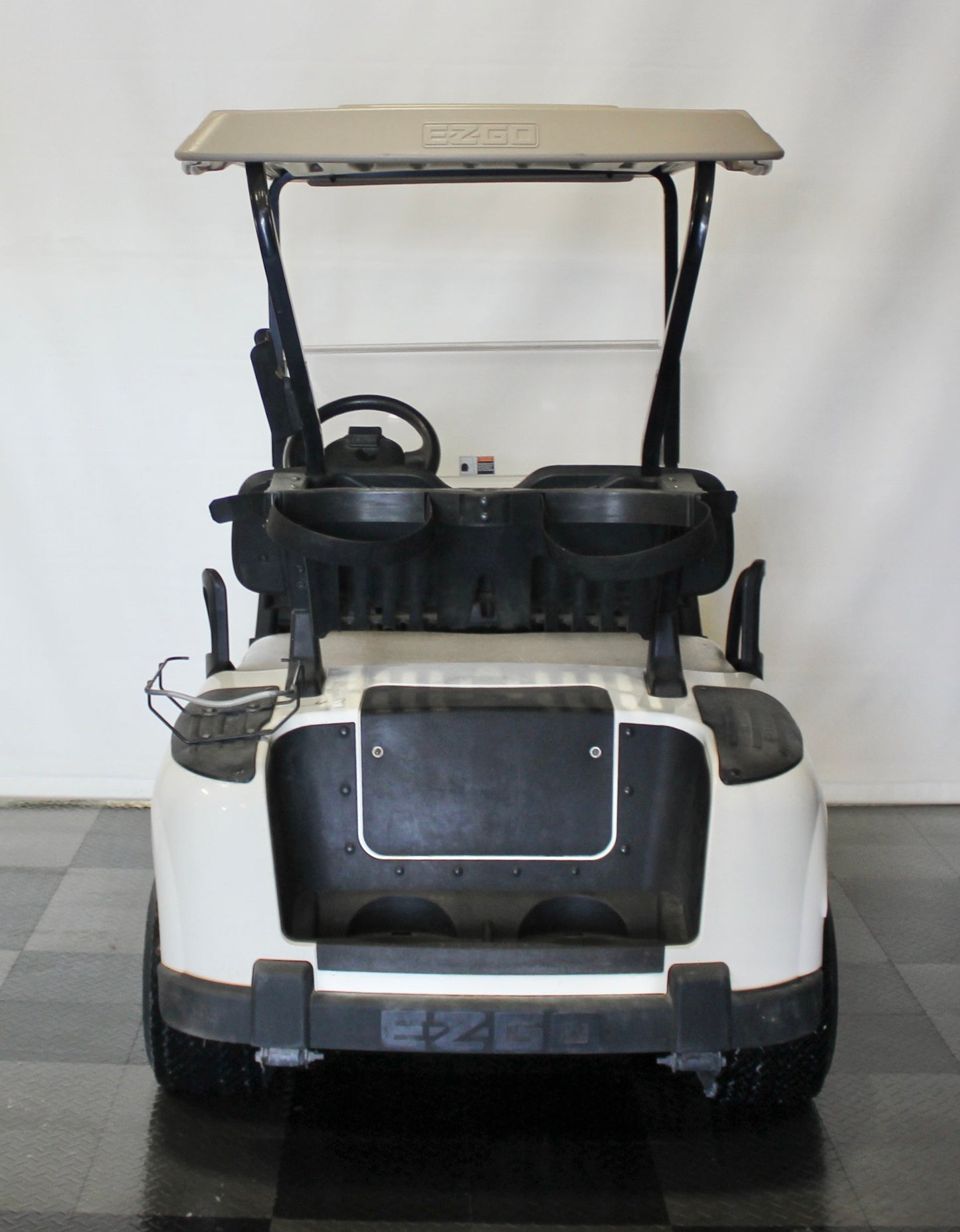2009 EZGO RXV Electric