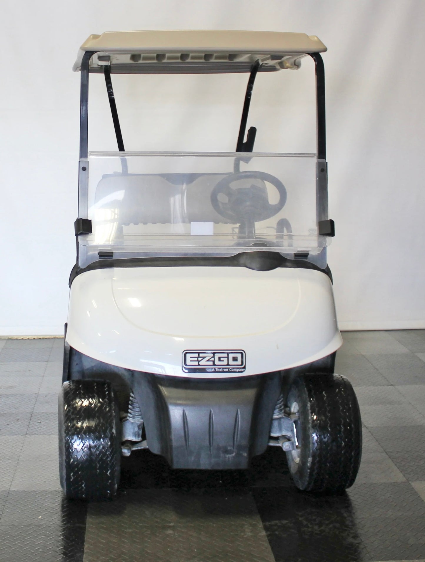 2009 EZGO RXV Electric