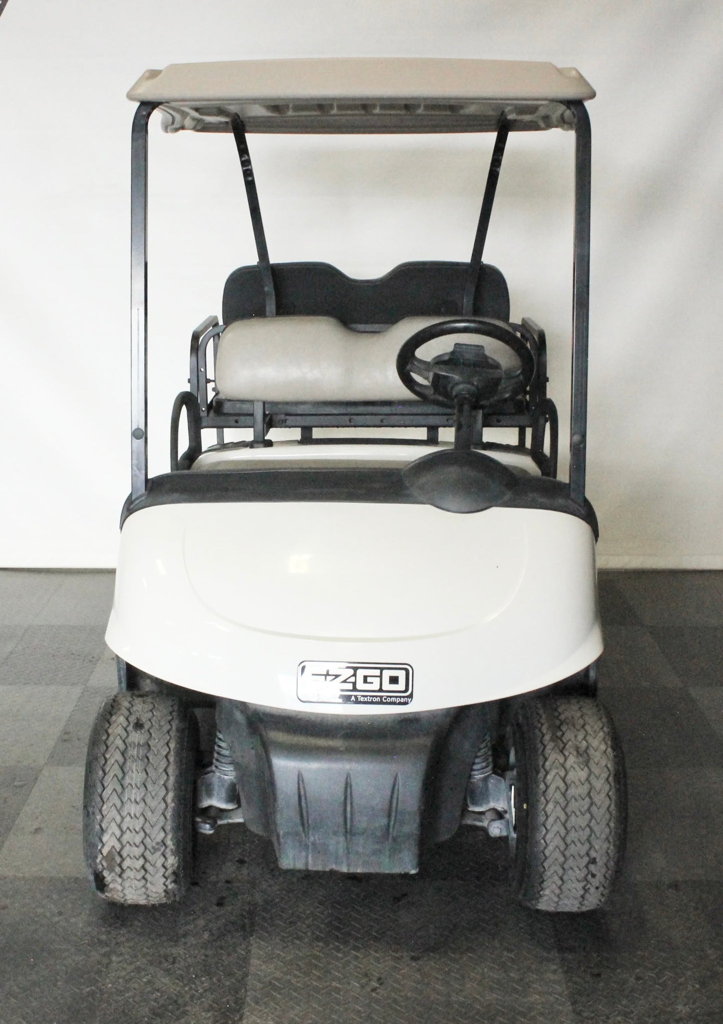 2009 EZGO RXV Electric